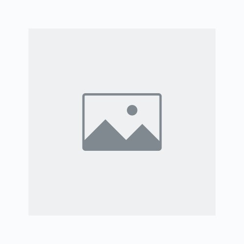 image-dummy