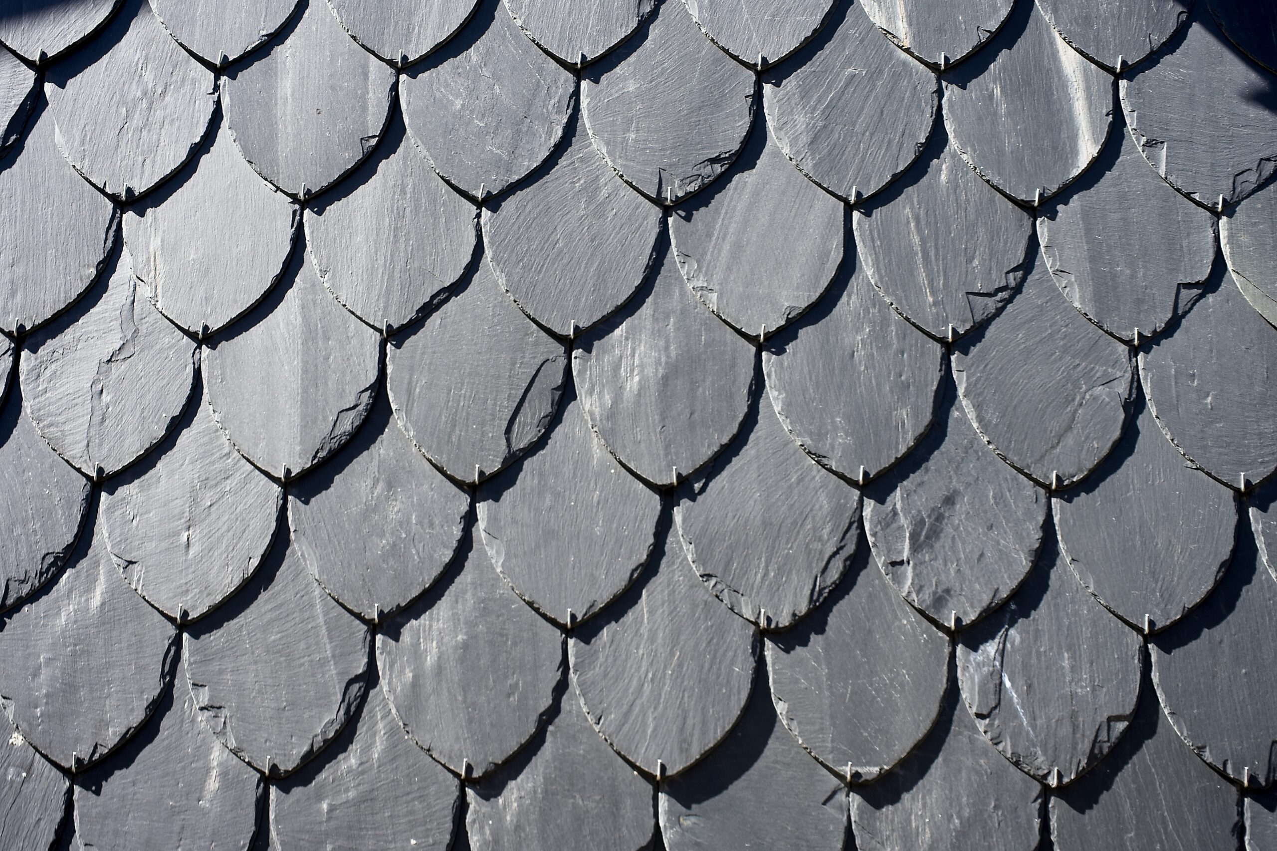 Photo of a detailed fish scale pattern on a black slate roof.